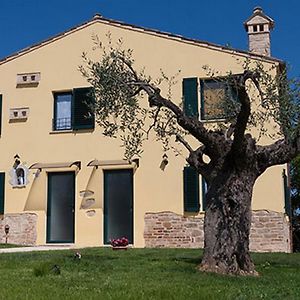 La Tana Del Cinghiale Villa Santa Vittoria in Matenano Exterior photo
