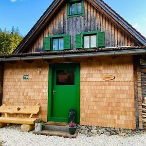Zirbitz Hütte mit Sauna und Kamin Sankt Lambrecht Exterior photo