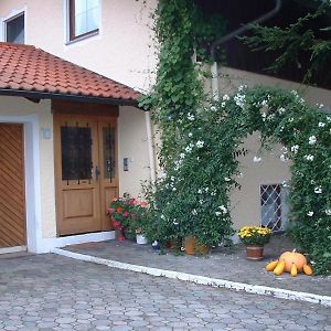 Apartamento Haus Obermayer Laufen Exterior photo