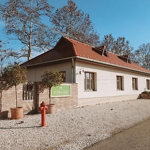 Herba-ház Danszentmiklos Exterior photo