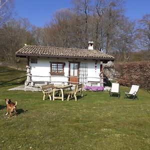 Baita Tana Da L'Ors Villa Forgaria nel Friuli Exterior photo
