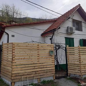 Andrei Villa Sasca Montană Exterior photo