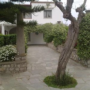 Il Merlo Bed and Breakfast Anacapri  Exterior photo