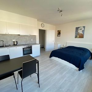 Apartamento Cozy Studio With Garage In The City Center Plzeň Exterior photo