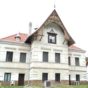 Apartamento Pronájem pokojů Belle Vue Vranov nad Dyjí Exterior photo