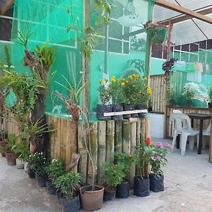 Balai Flordeliza Guest House&Garden Cafe Liloan Exterior photo