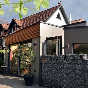 Apartamento Winzerhof&Weincafe Gümpelein Willanzheim Exterior photo