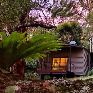 Whispering Valley Cottage Retreat Maleny Exterior photo