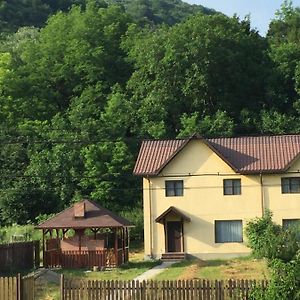 Vila Maria Villa Buzău Exterior photo