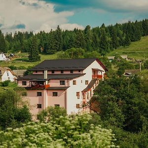 Hotel Pensiunea Auras Dorna-Arini Exterior photo