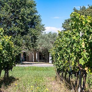 Au détour des vignes Bed and Breakfast Ordonnac Exterior photo