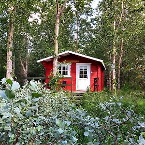 Apartamento Bakkakot 3 Cozy Cabin In The Woods Akureyri Exterior photo