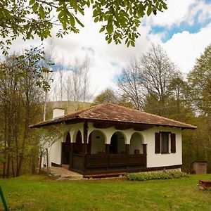 Vikend Kuca Mir Villa Despotovac Exterior photo