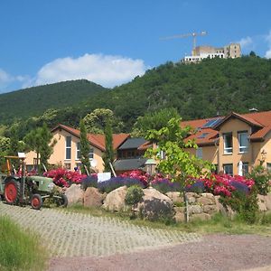 Weinhaus Paradies Bed and Breakfast Neustadt an der Weinstraße Exterior photo