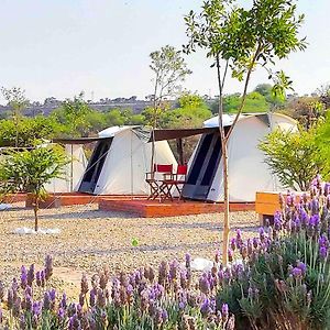 Hotel ZenZontle GlampingSMA By Rotamundos San Miguel de Allende Exterior photo