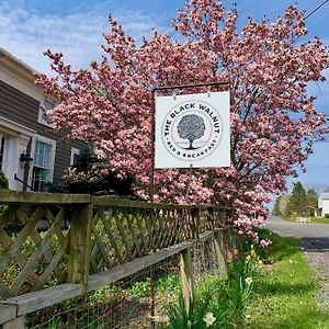 Black Walnut Bed And Breakfast Interlaken Exterior photo