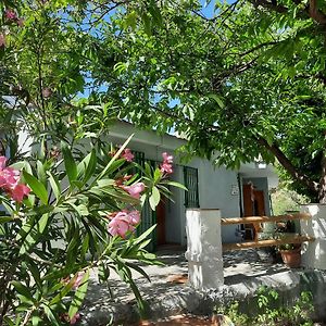 Alpujarra Guesthouse, Remote Off-Grid Mountain Accommodation Canar Exterior photo