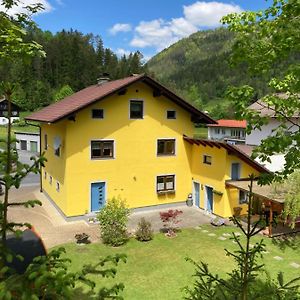 Apartamento Ferienhaus Elisabeth Selbstversorger Unterkunft Sankt Aegyd am Neuwalde Exterior photo