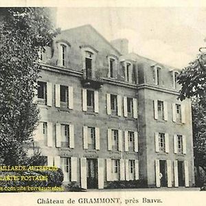 Chambre D'Hotes Chez Johannes Et Adele Bed and Breakfast Brive-la-Gaillarde Exterior photo