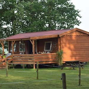 Apartamento Tiny House Het Reebokje Vriescheloo Exterior photo