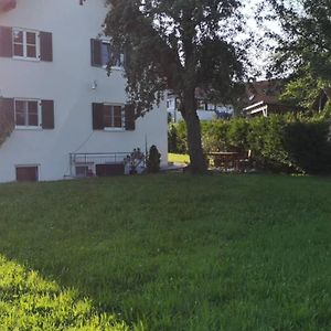 Ruhige Ferienwohnung Inkl. Garten Im Unterallgau Lachen Exterior photo