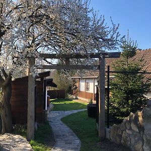 Apartamento Liliána vendégház Terény Exterior photo