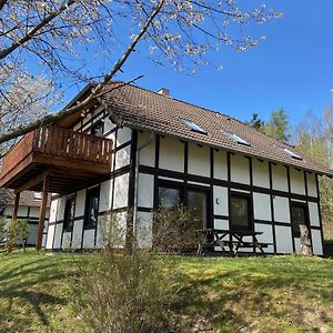 Ferienwohnung Mimo Direkt Am Waldrand Frankenau Exterior photo