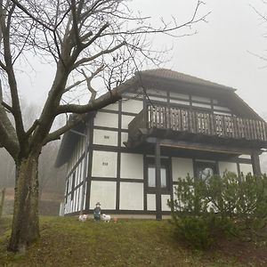 Ferienwohnung Lix Direkt Am Waldrand Frankenau Exterior photo