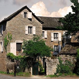 Maison D'Hotes La Singuliere Sévérac-le-Château Exterior photo