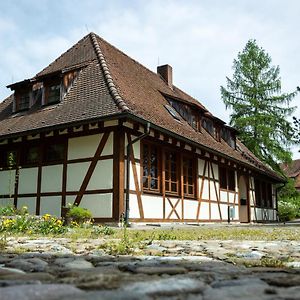 Hotel Schloss Hohenfels/ Gaestehaus Morgenrot Hohenfels  Exterior photo