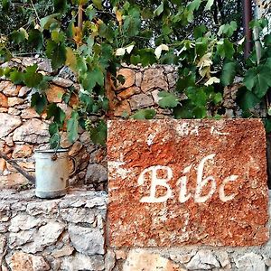 Bibc Wine & Holiday Trieste Exterior photo