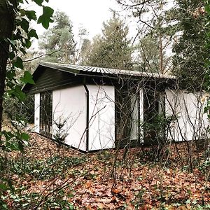 Www Huis Op De Veluwe Nl Villa Nunspeet Exterior photo