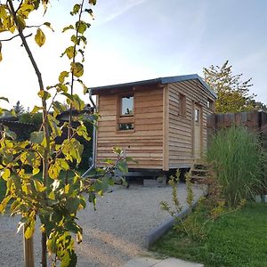 Zirbenholz Tiny House "Waldhauszeit" Am See Villa Mücke Exterior photo