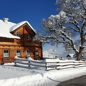 Ferienhaus Bichlhütte Villa Pruggern Exterior photo