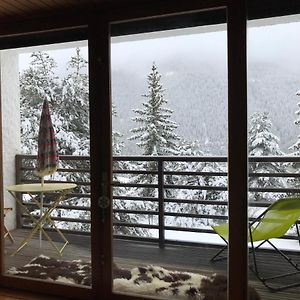 Apartamento Superbe 2 pcs cabine terrasse vue féérique pistes et montagnes Auron Exterior photo