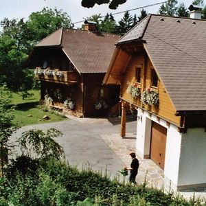 Kleines Ferienhaus Koglerhütte Villa Rossleithen Exterior photo
