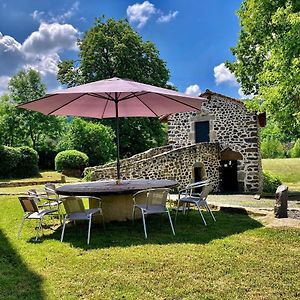 Domaine De La Planche De Melussac Bed and Breakfast Cussac-sur-Loire Exterior photo