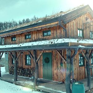 CHALET BORŮVKA - biofarma na samotě v lesích Villa Benesov  Exterior photo