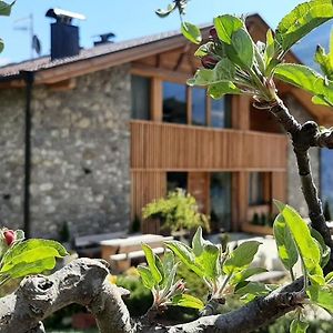 Apartamento Proefinghof - Urlaub Auf Dem Biobauernhof Parcines Exterior photo