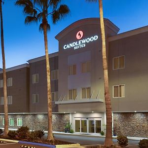 Candlewood Suites - Safety Harbor By Ihg Exterior photo