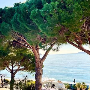 Appartement Les Pieds Dans L'Eau A Cavaliere Le Lavandou Exterior photo