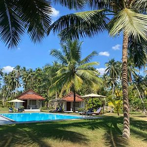 Ambarella Lodge - Katunayake Hunumulla Exterior photo