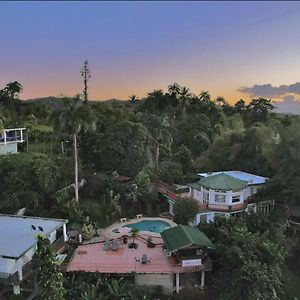 Pancho'S Paradise - Rainforest Guesthouse With Pool, Gazebo And View Canóvanas Exterior photo