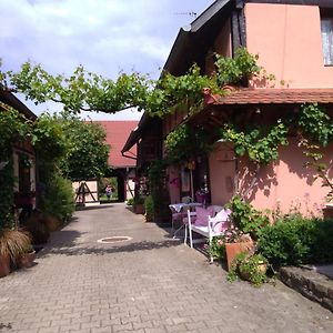 Gite Gabrielle Villa Blaesheim Exterior photo