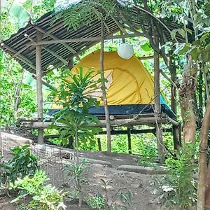 Raw Camping At Camping Paradise Singalong Mountain Garden Antipolo Exterior photo