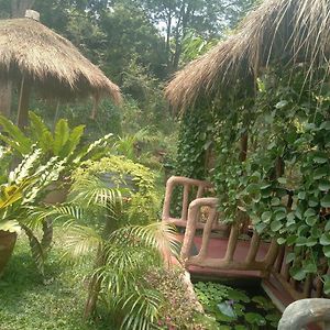 Sigiriya Nature View home Stay Exterior photo