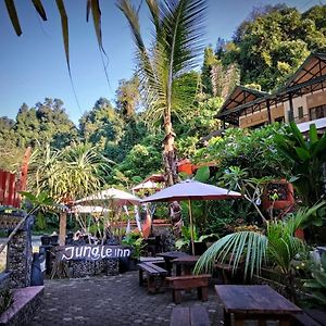 Jungle Inn Bukit Lawang Exterior photo