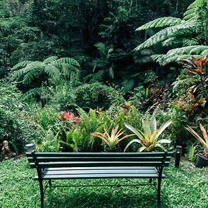 Apartamento Studio In The Rainforest Kuranda Exterior photo