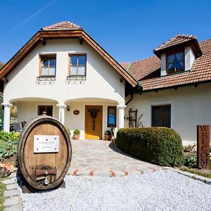 Weinberghof Ilkerl-Luf Bed and Breakfast Krems an der Donau Exterior photo