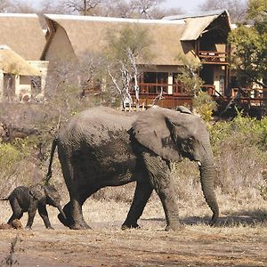 Elephant Plains Game Lodge Reserva de caza Sabi Sand Exterior photo